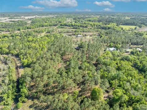 9535 Number Two Road Howey In The Hills FL 34737
