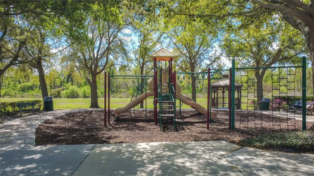 13836 Daniels Landing Circle Winter Garden FL 34787
