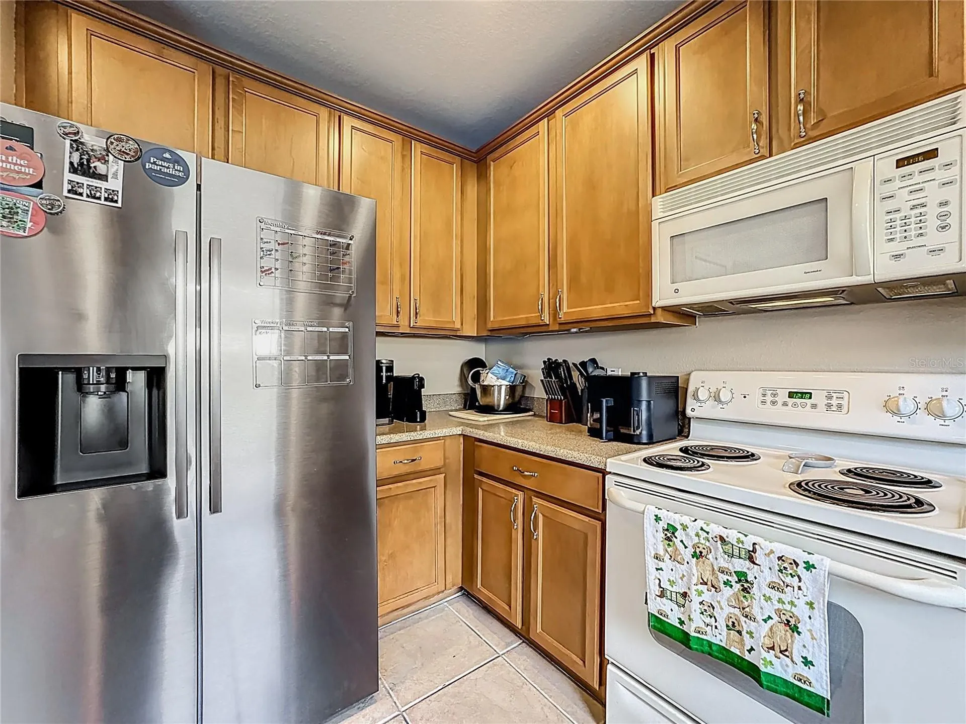 13836 Daniels Landing Circle Winter Garden FL 34787