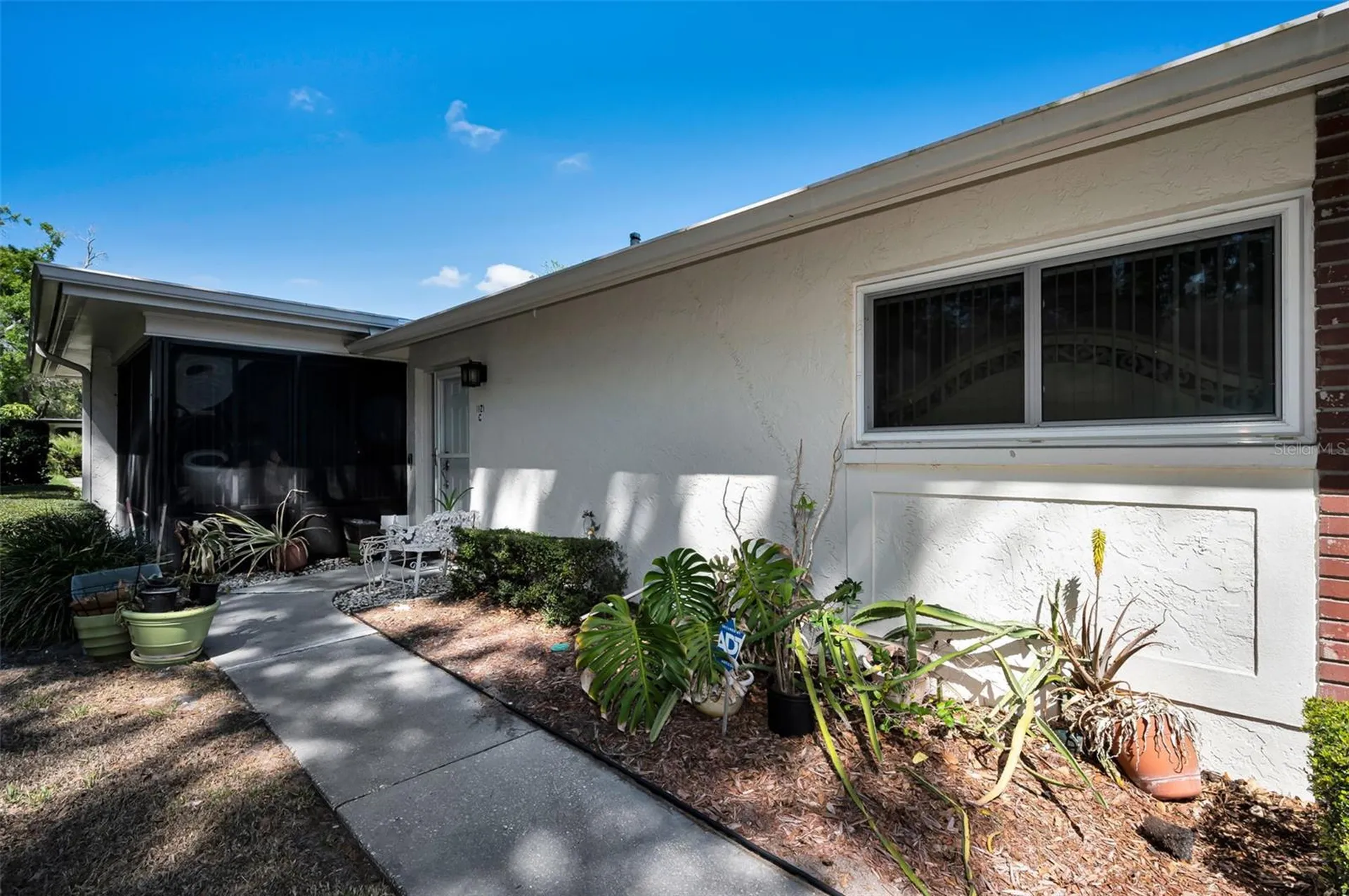 1121 Queen Anne Drive Palm Harbor FL 34684