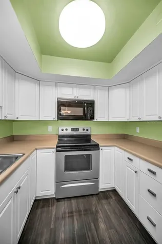 1121 Queen Anne Drive Palm Harbor FL 34684