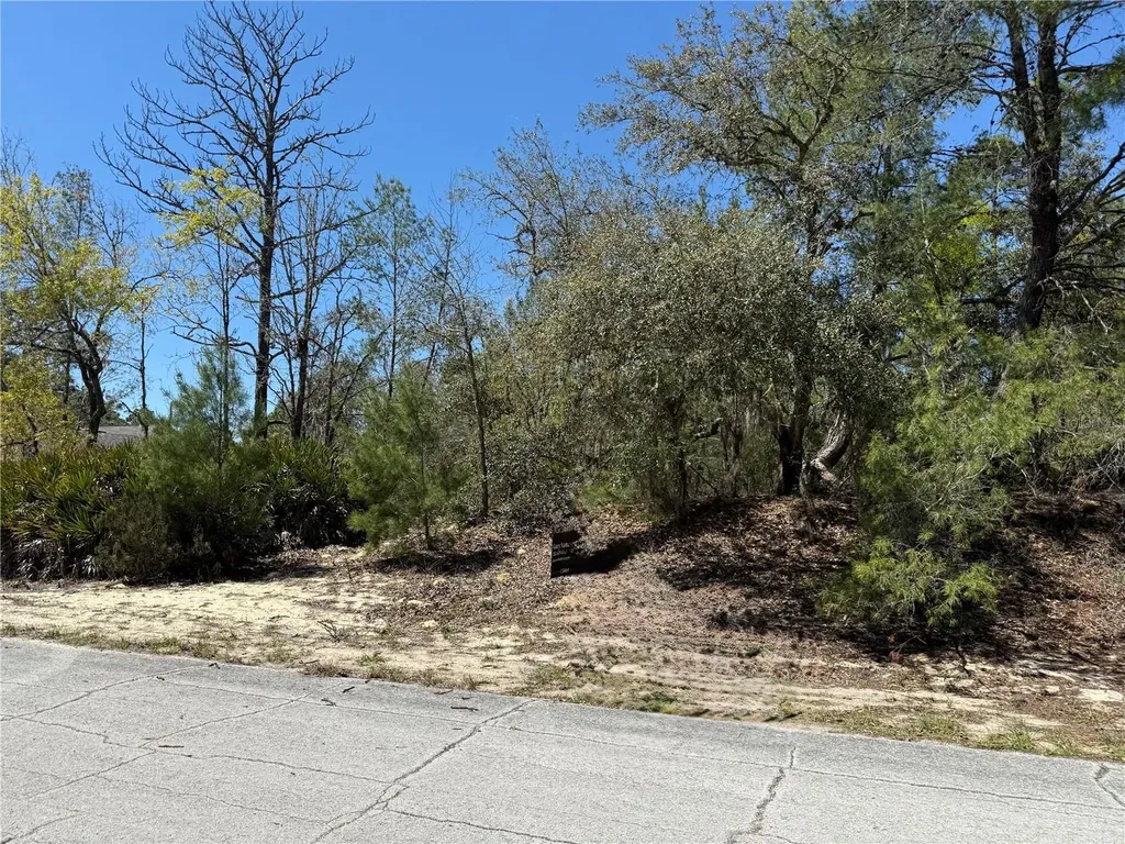 10762 N Moreno Drive Dunnellon FL 34433