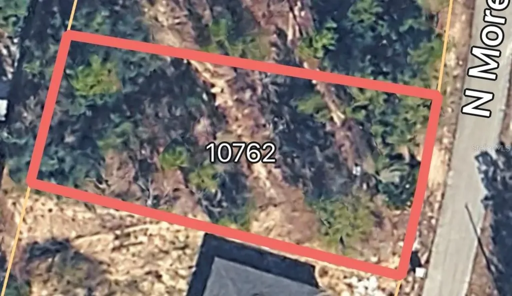 10762 N Moreno Drive Dunnellon FL 34433