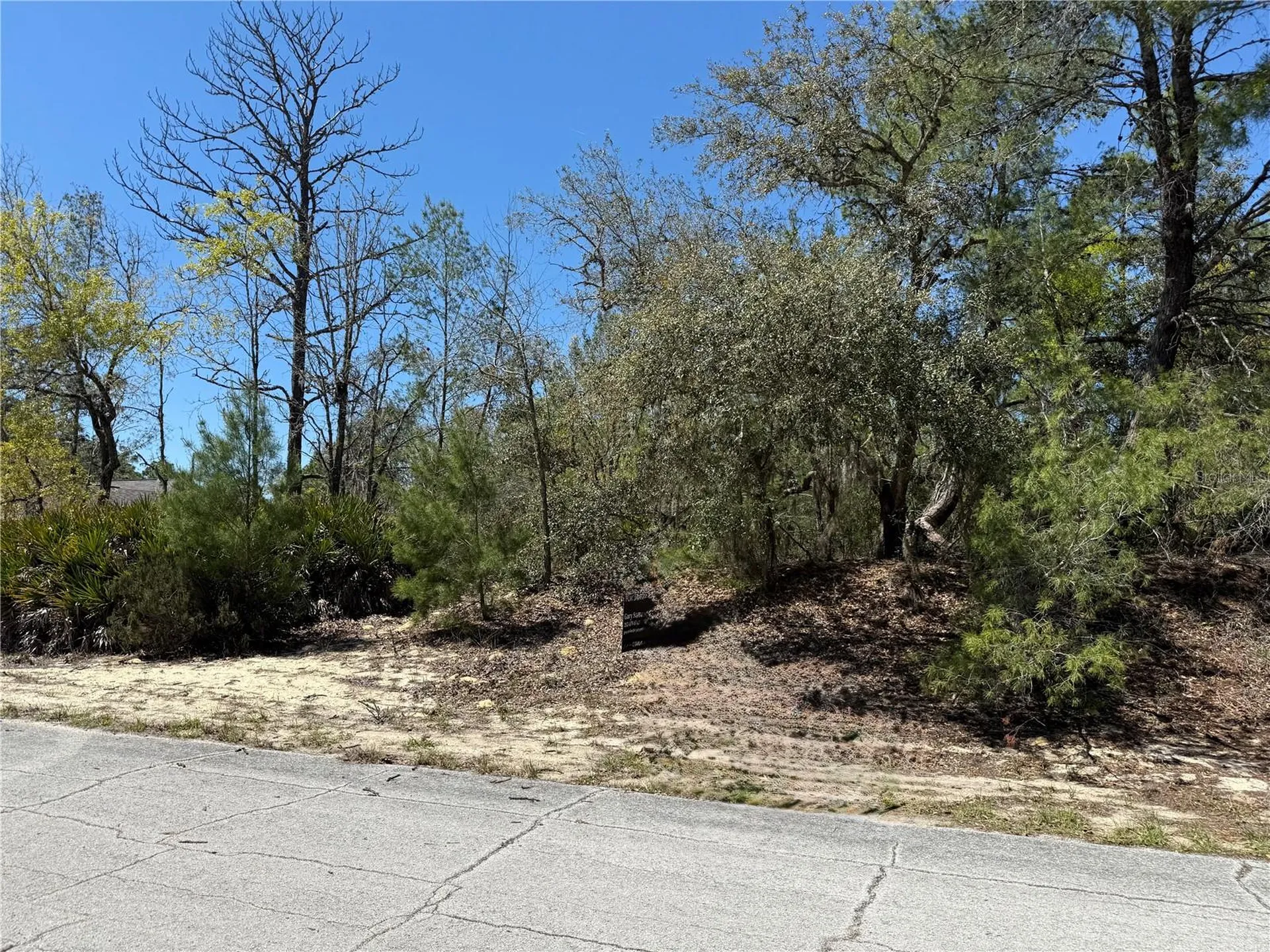 10762 N Moreno Drive Dunnellon FL 34433