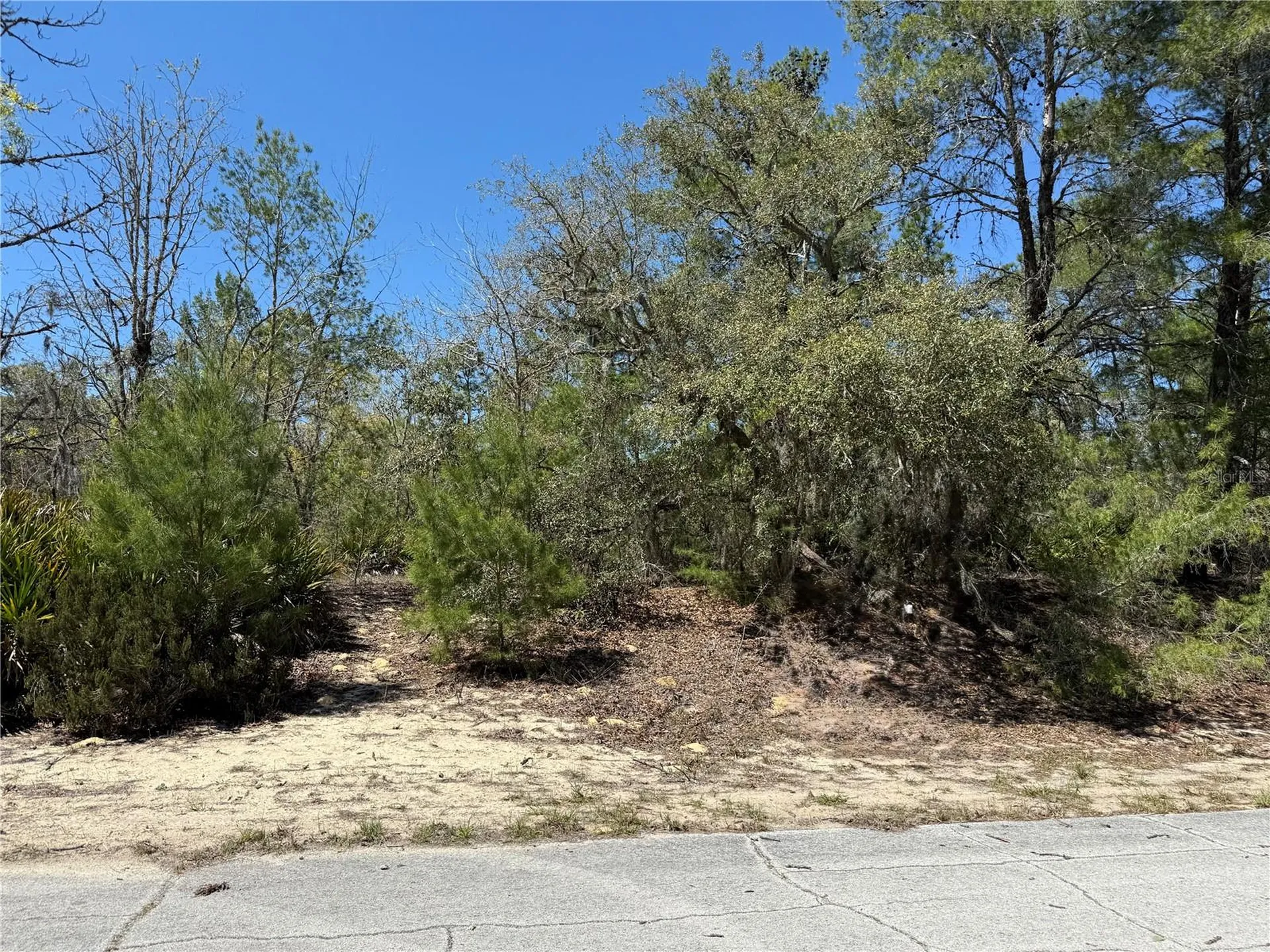 10762 N Moreno Drive Dunnellon FL 34433