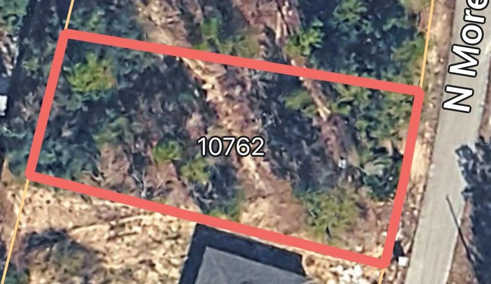 10762 N Moreno Drive Dunnellon FL 34433