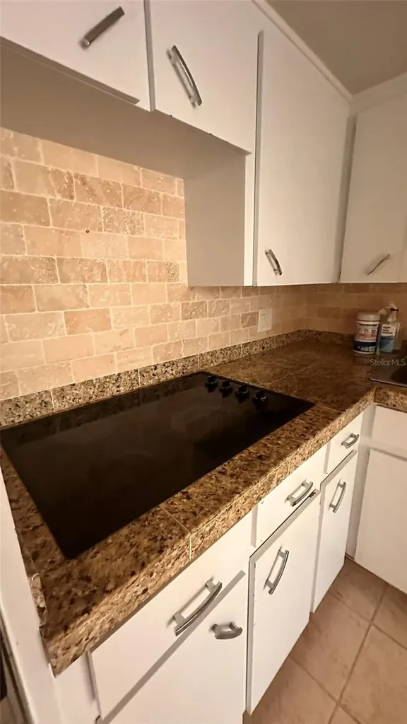 2330 Ecuadorian Way Clearwater FL 33763