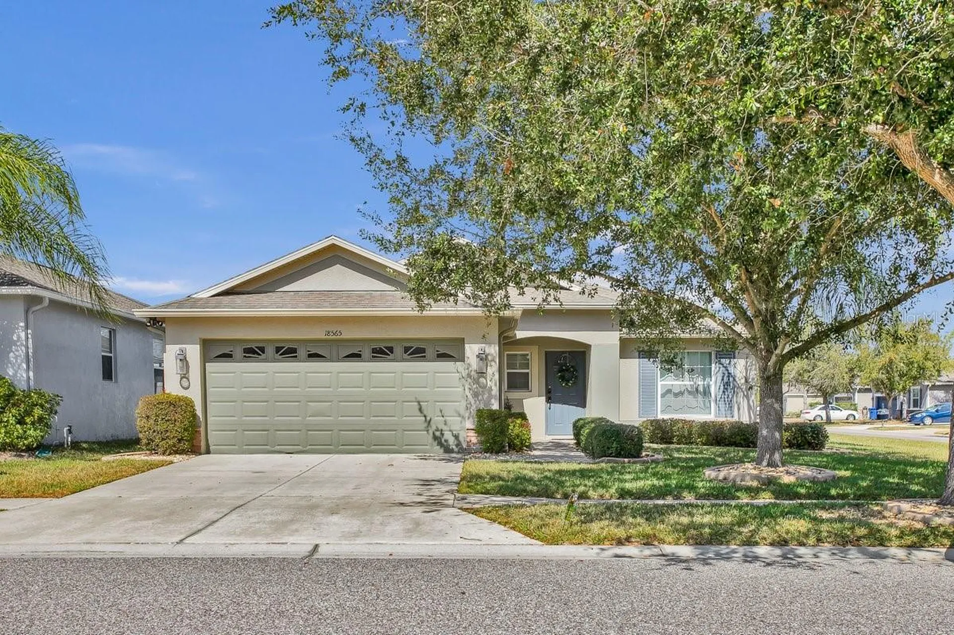 18565 Strombury Drive Land O Lakes FL 34638