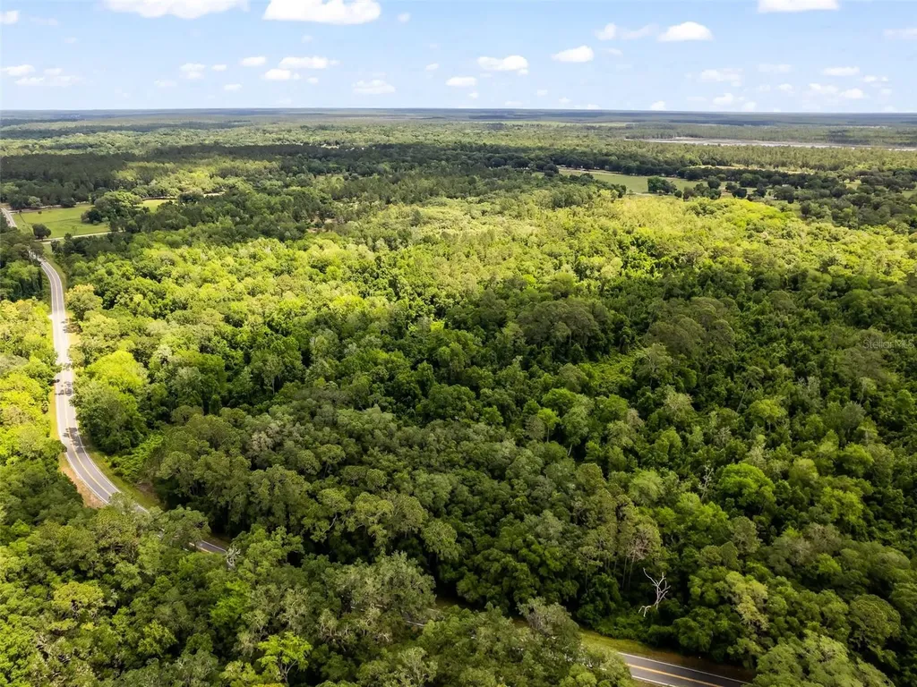0 SE 182nd Avenue SE Ocklawaha FL 32179