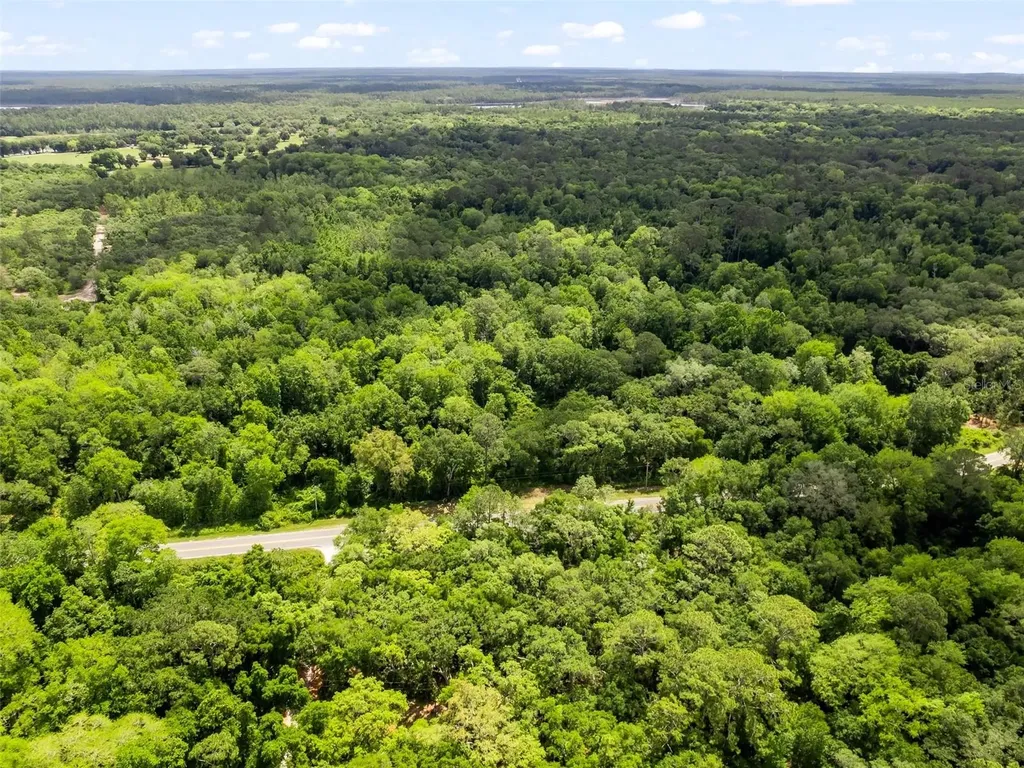 0 SE 182nd Avenue SE Ocklawaha FL 32179