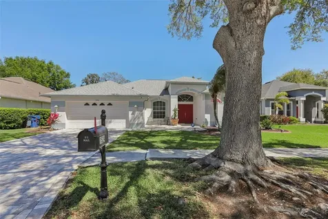 1524 Stipule Court Trinity FL 34655