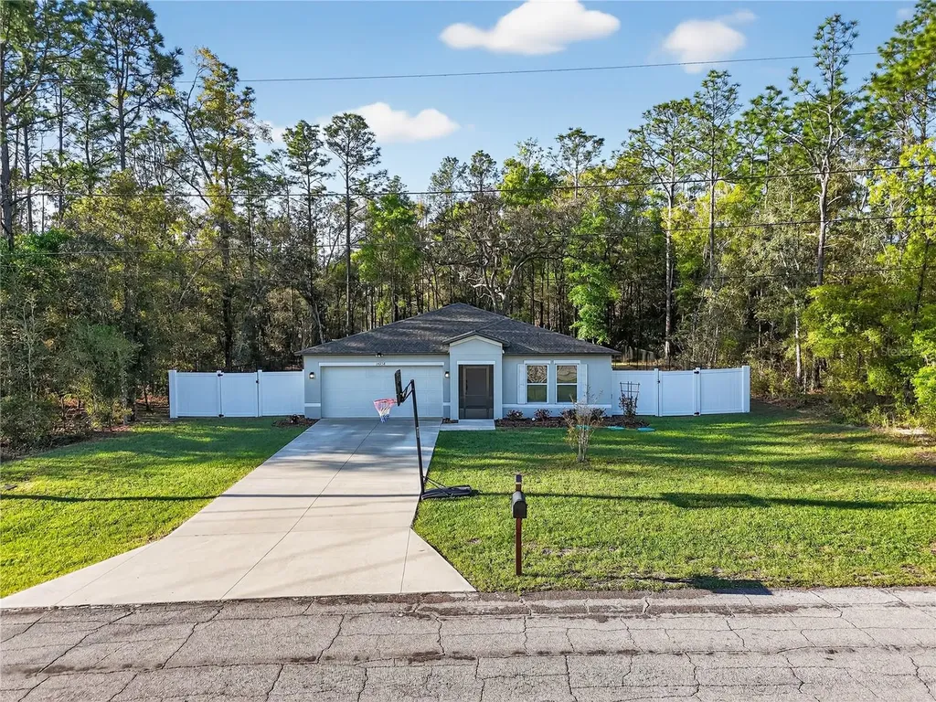 10058 N Athenia Drive Citrus Springs FL 34434