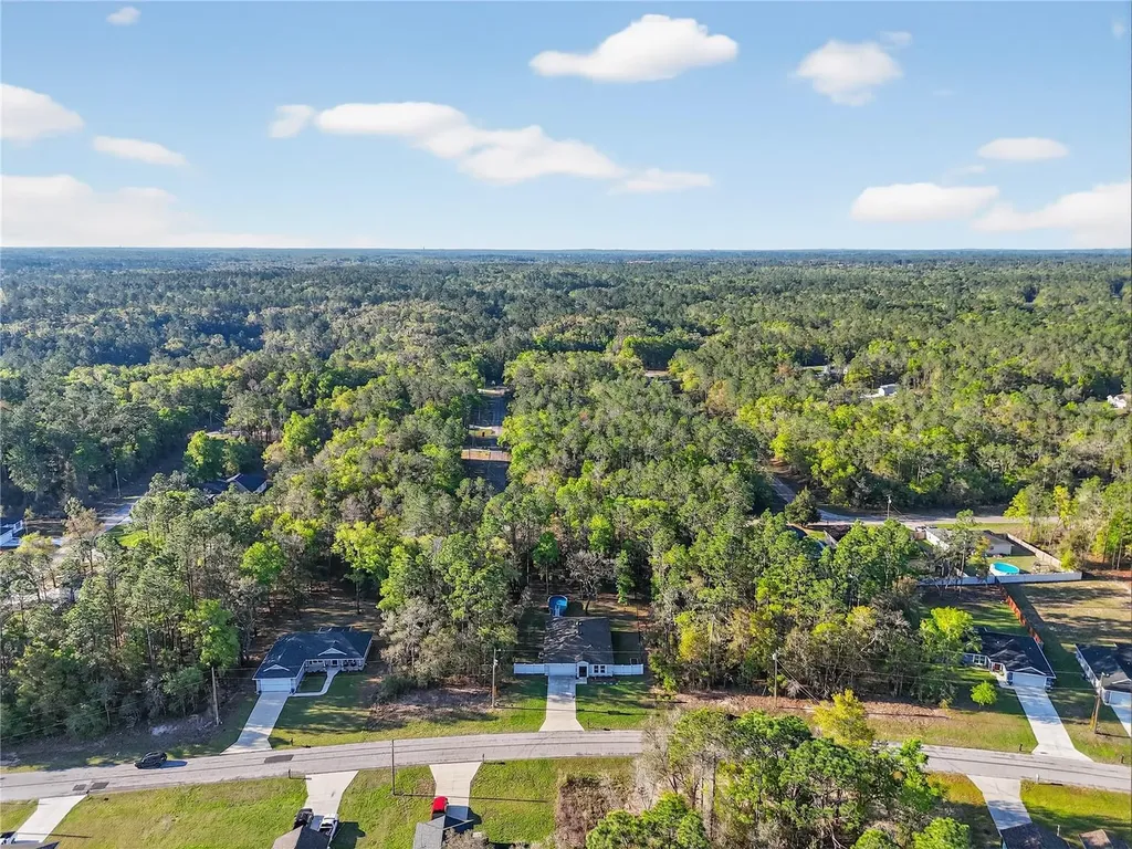 10058 N Athenia Drive Citrus Springs FL 34434