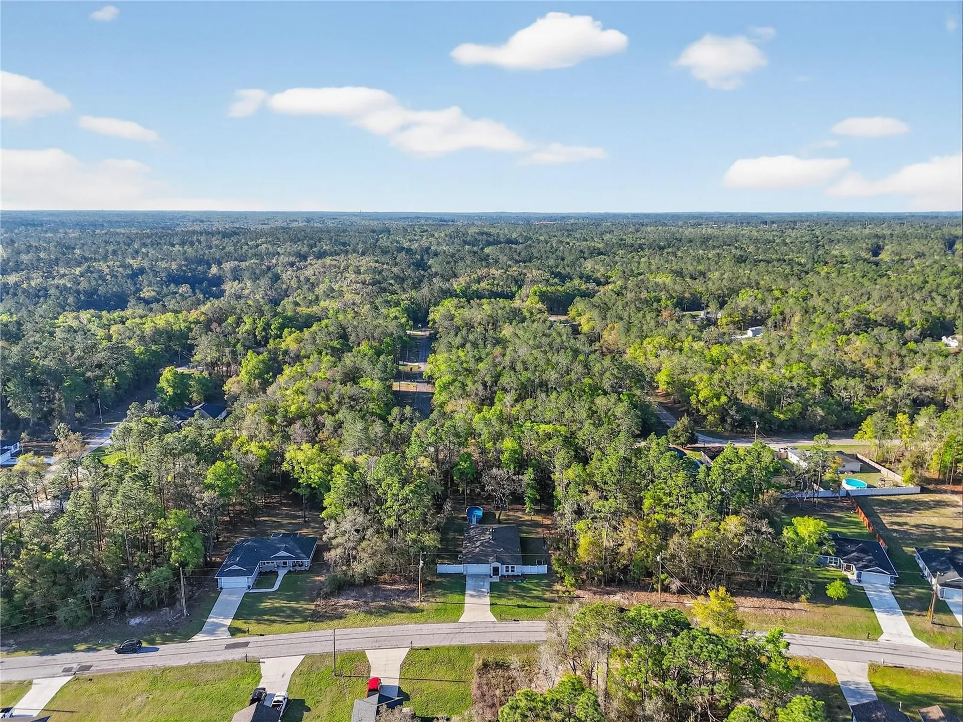 10058 N Athenia Drive Citrus Springs FL 34434