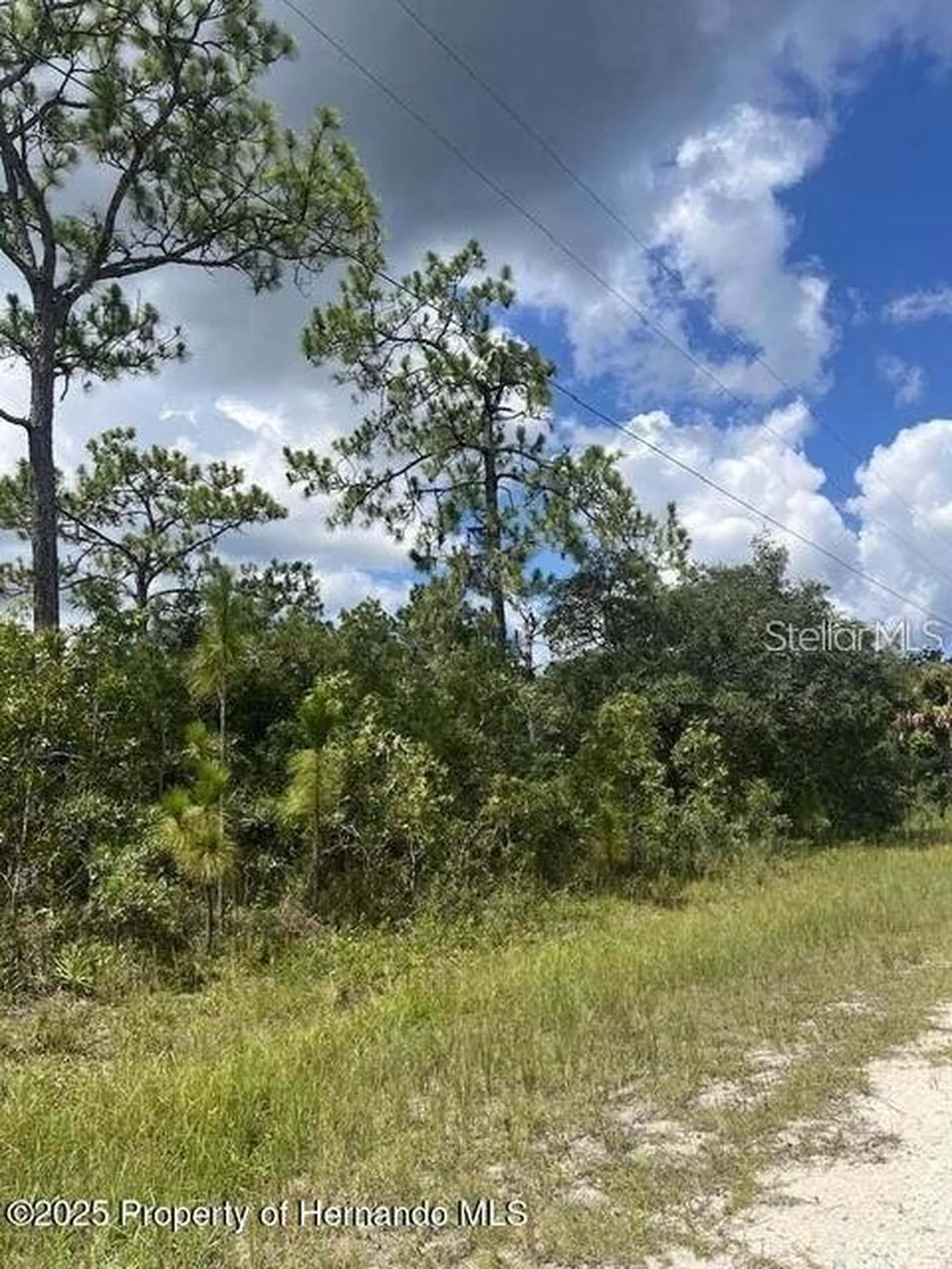 10194 Yellow Frog Avenue Weeki Wachee FL 34614
