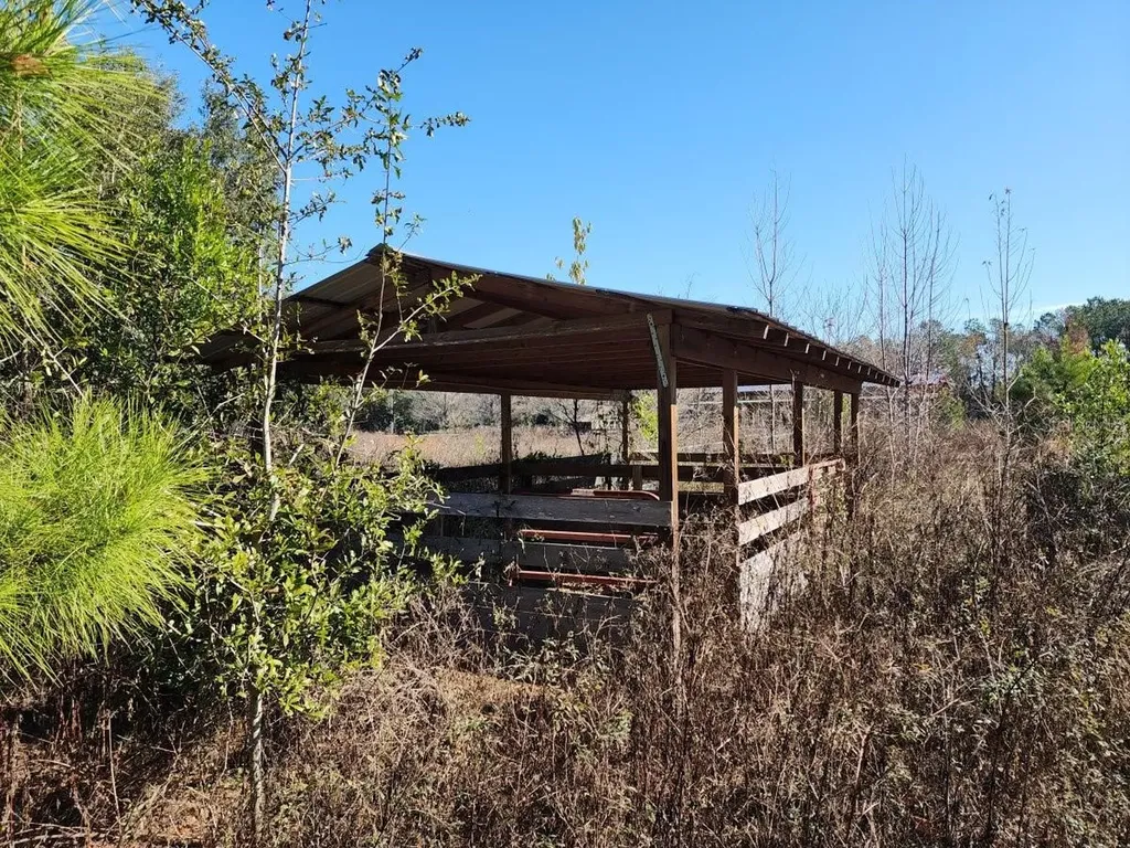 13195 NW 93rd Lane Alachua FL 32615