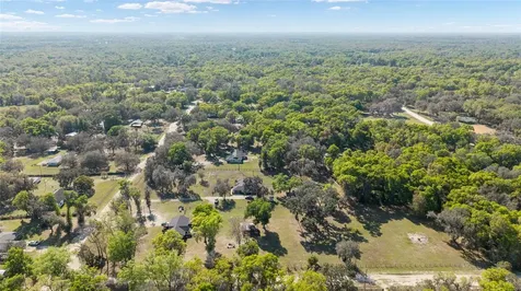 4885 NE 132nd Place Anthony FL 32617