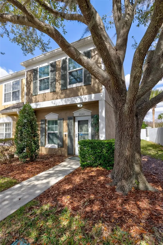 30243 Lacledes Lane Wesley Chapel FL 33543