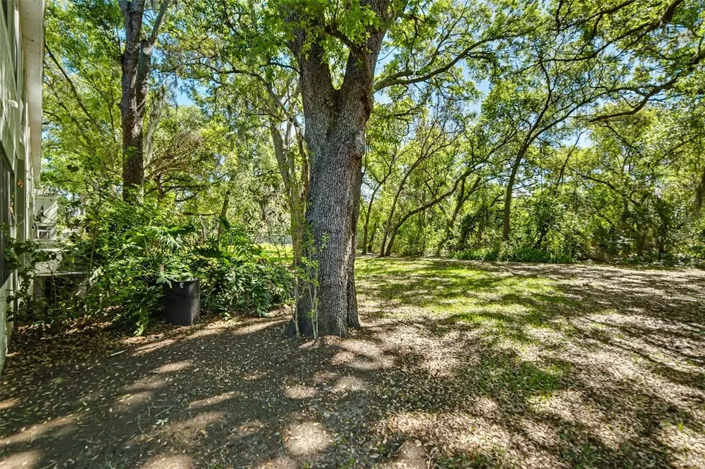 2431 Earlswood Court Brandon FL 33510