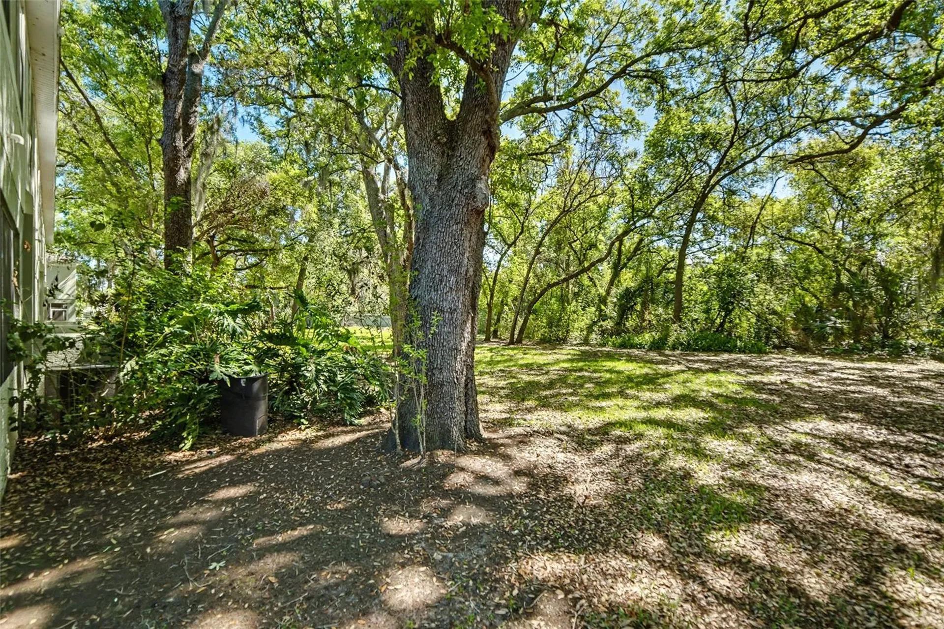 2431 Earlswood Court Brandon FL 33510