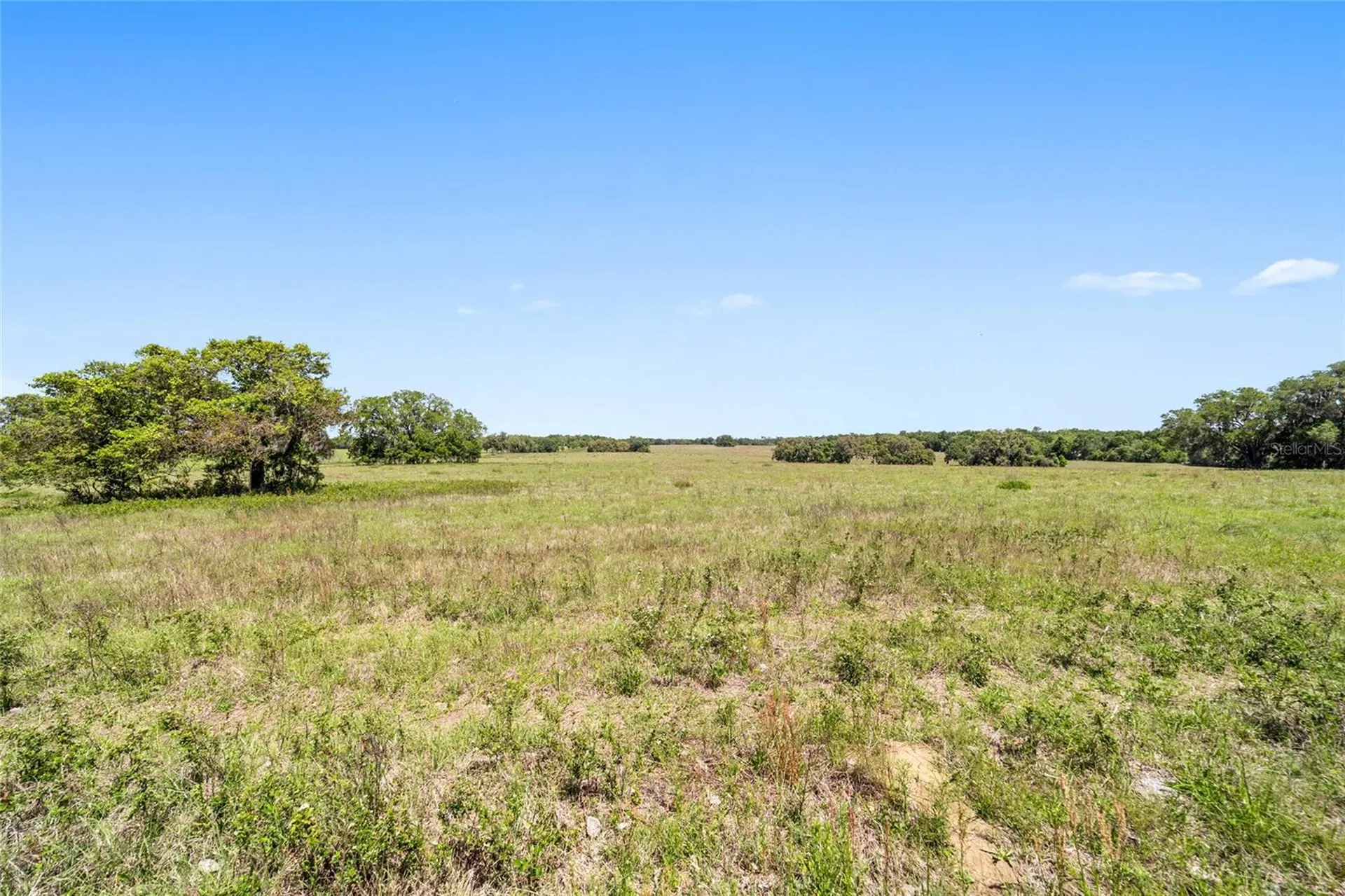 19355 SW 25th Place Dunnellon FL 34431