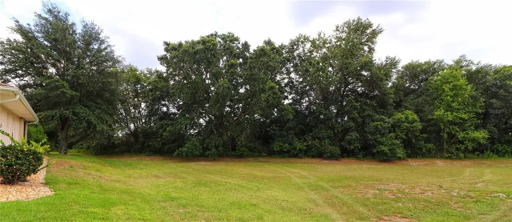 21300 Royal Street Georges Lane Leesburg FL 34748
