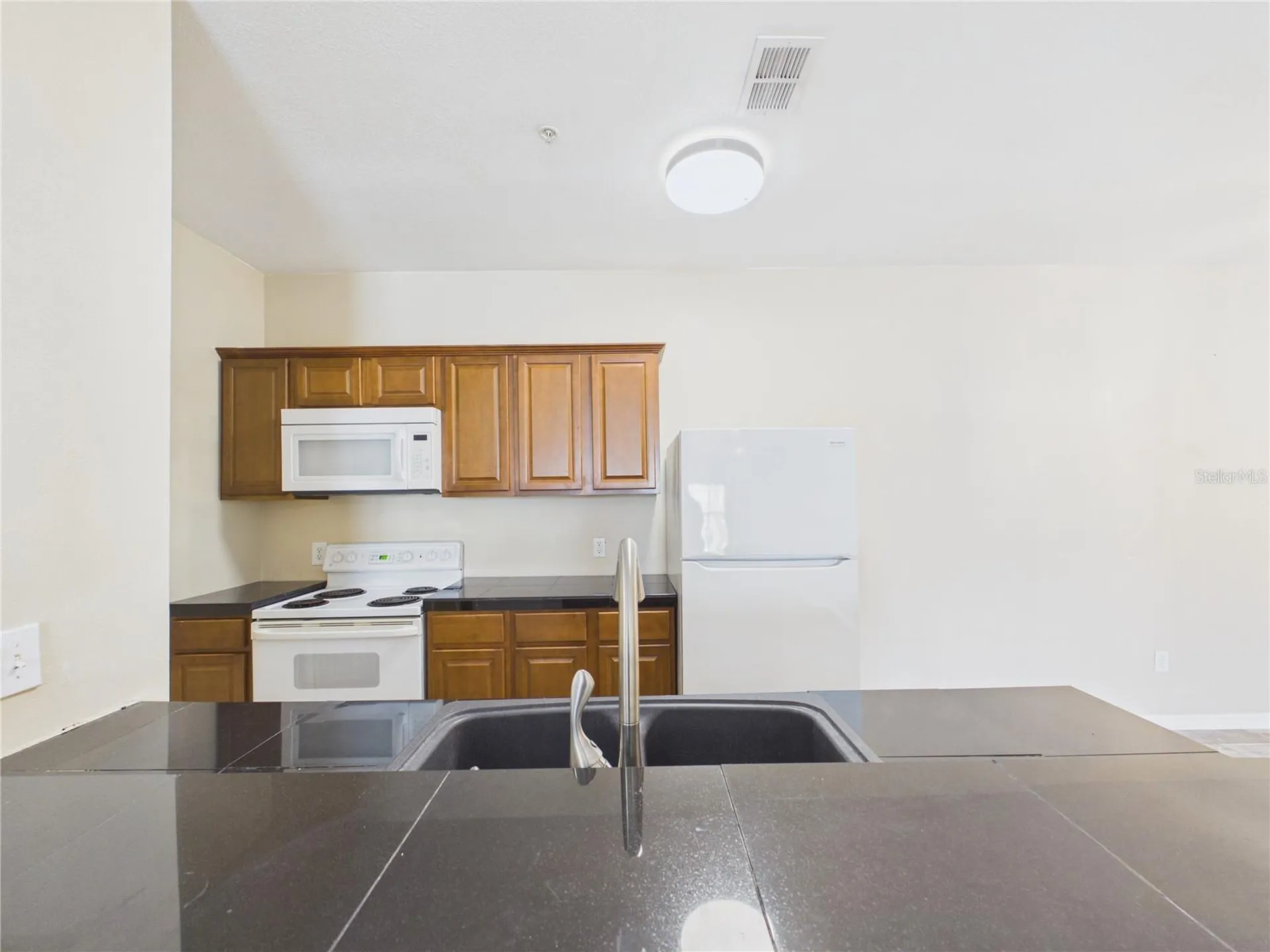 16305 Enclave Village Drive Tampa FL 33647