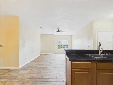 16305 Enclave Village Drive Tampa FL 33647