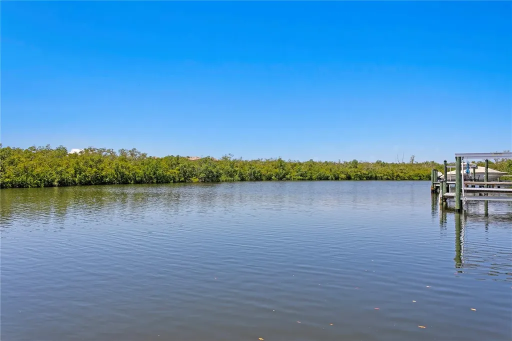916 Seagrape Drive Ruskin FL 33570