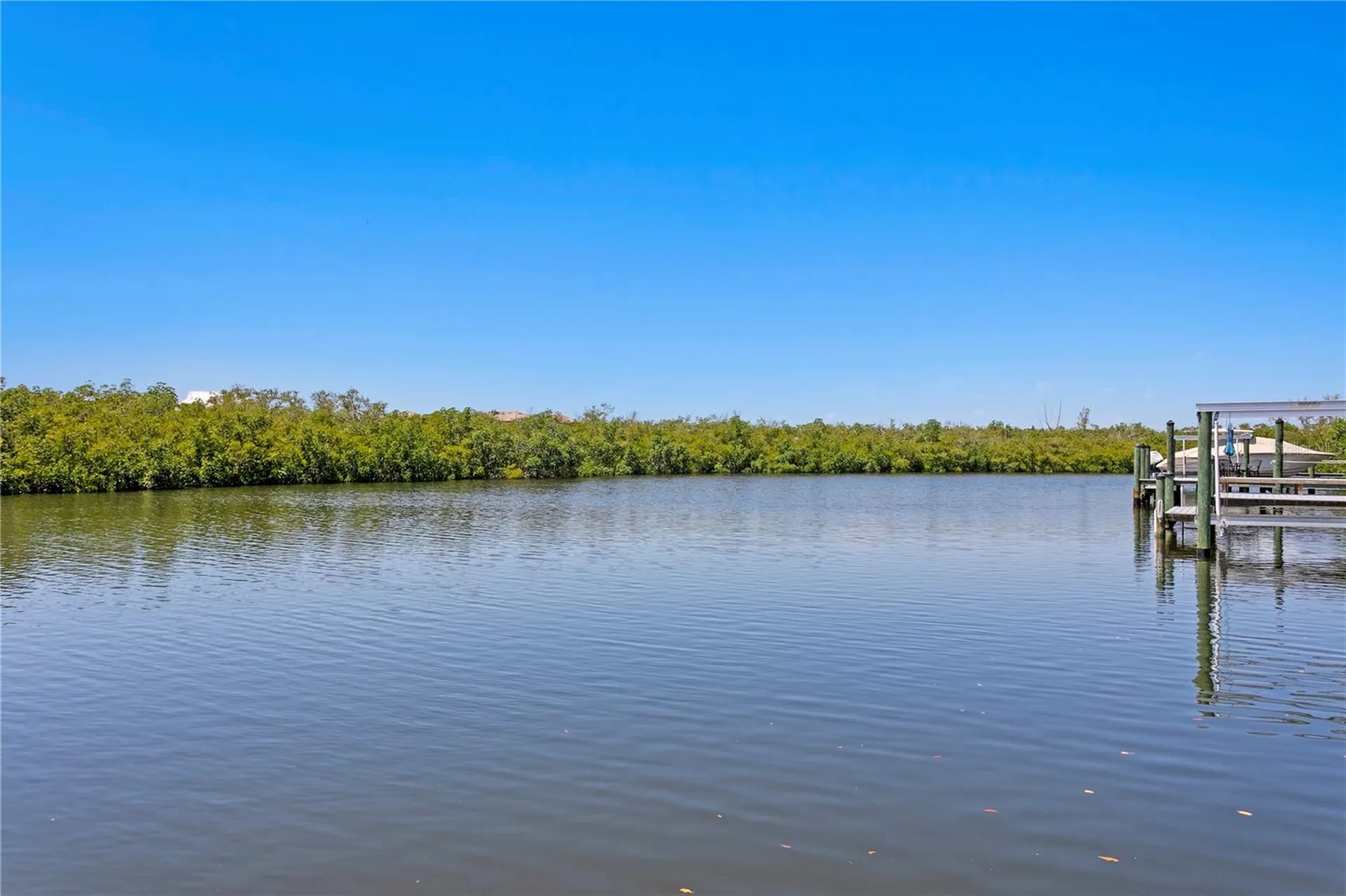 916 Seagrape Drive Ruskin FL 33570