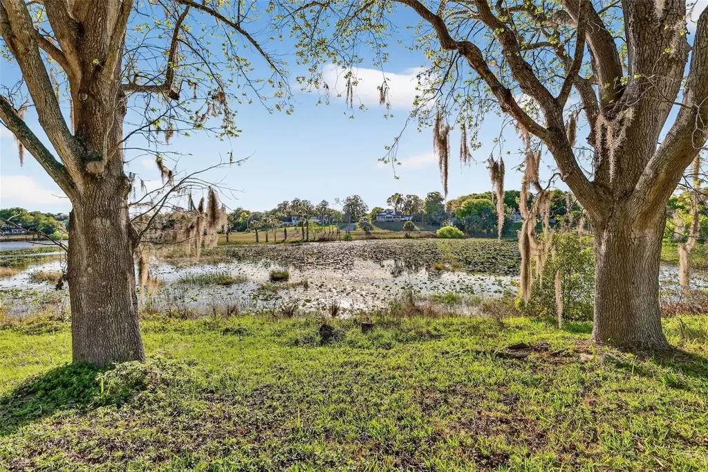 1039 Lake Gracie Drive Eustis FL 32726