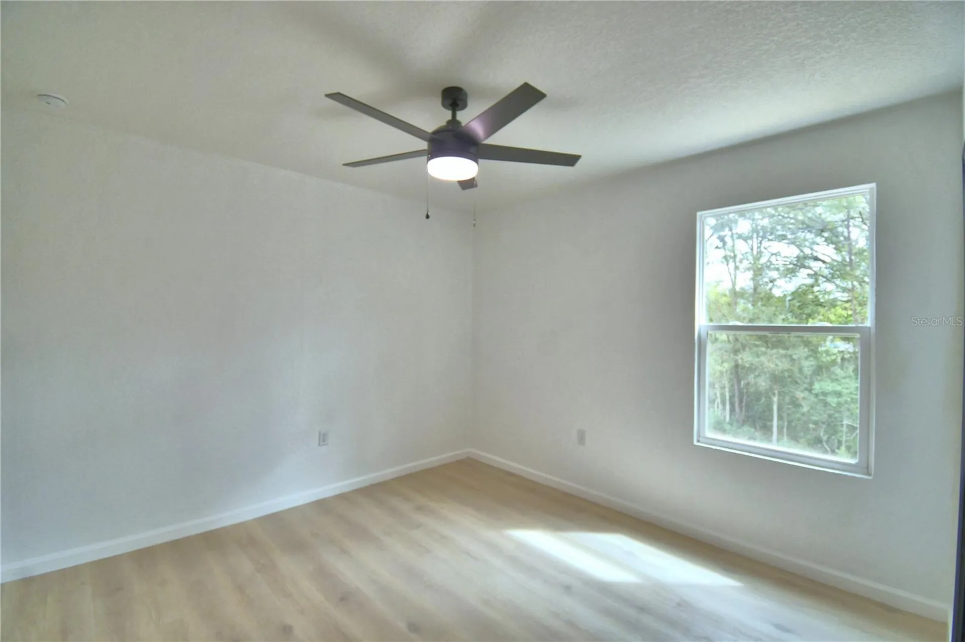 2264 W Longbottom Road Avon Park FL 33825