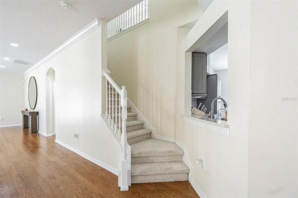 15735 Cedar Elm Terrace Land O Lakes FL 34638