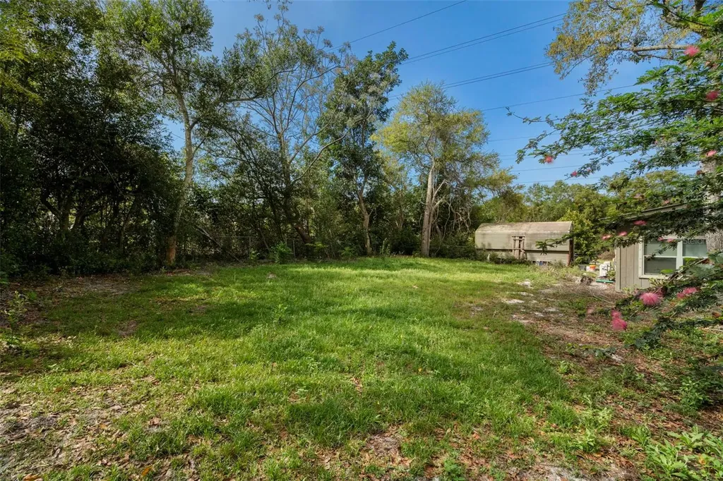 6890 County Road 95 Palm Harbor FL 34684