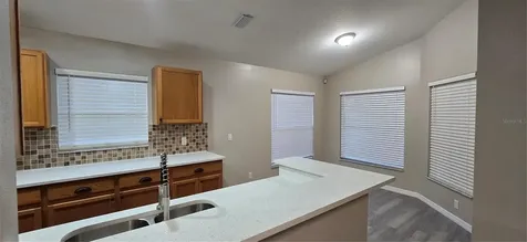 1810 Greystone Heights Drive Valrico FL 33594