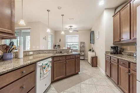 29203 Grass Bunker Drive San Antonio FL 33576