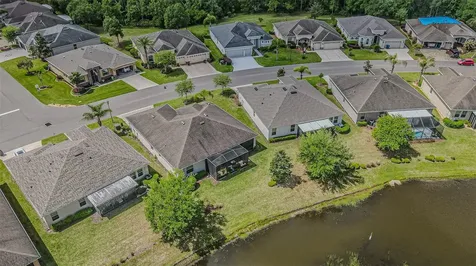 29203 Grass Bunker Drive San Antonio FL 33576