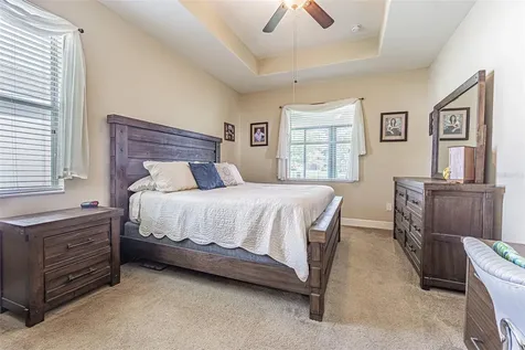 29203 Grass Bunker Drive San Antonio FL 33576