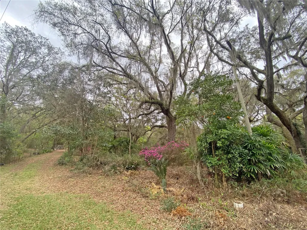 119 Twin Lakes Road Hawthorne FL 32640