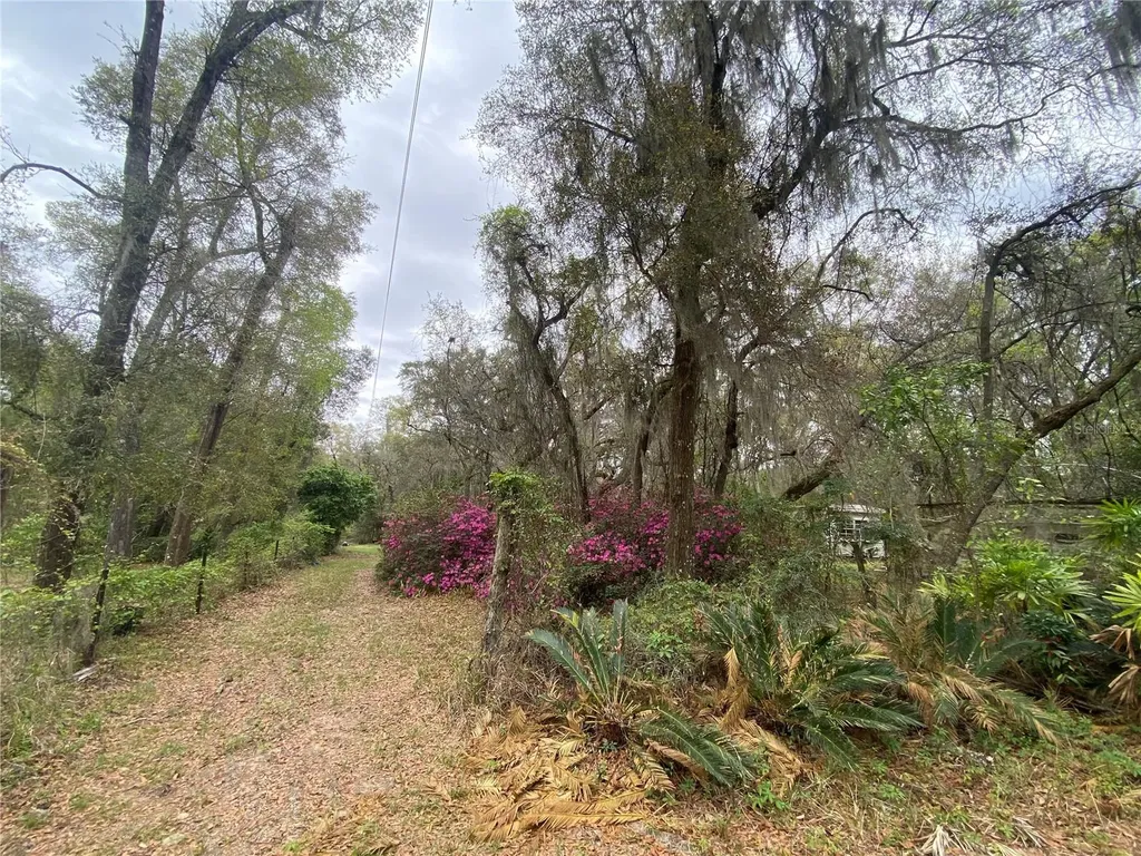119 Twin Lakes Road Hawthorne FL 32640