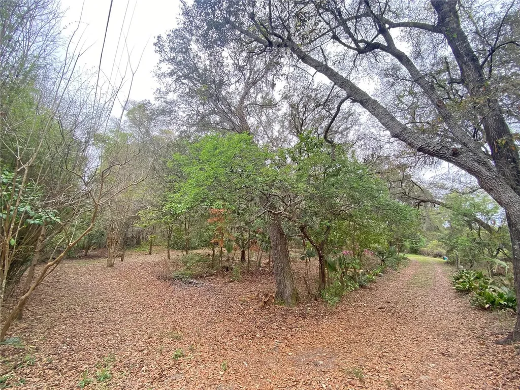 119 Twin Lakes Road Hawthorne FL 32640