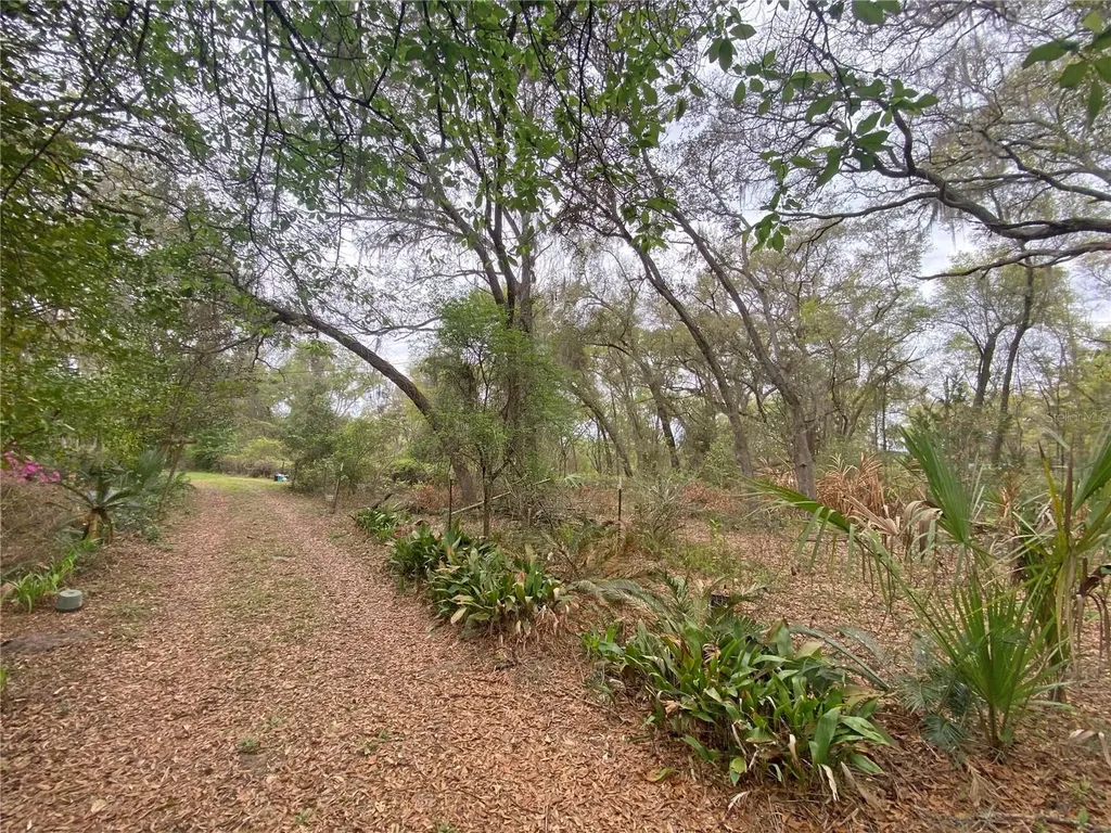 119 Twin Lakes Road Hawthorne FL 32640