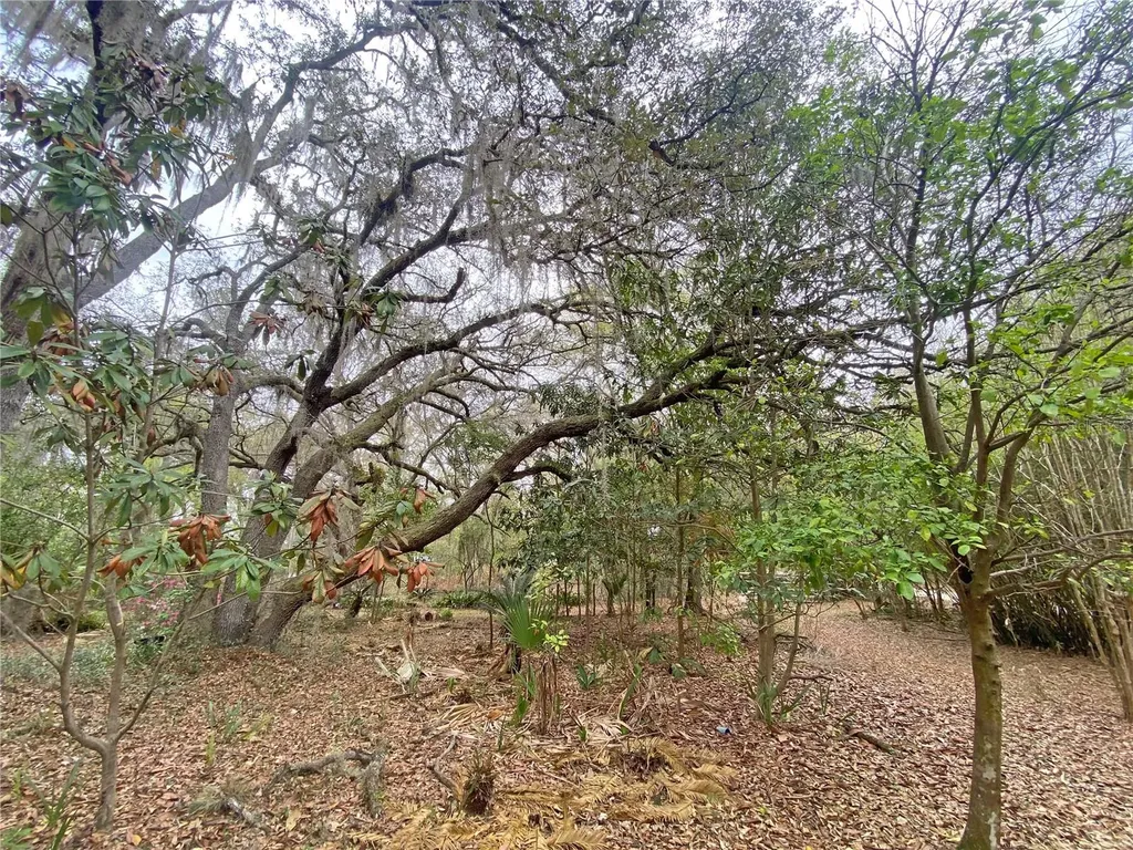 119 Twin Lakes Road Hawthorne FL 32640