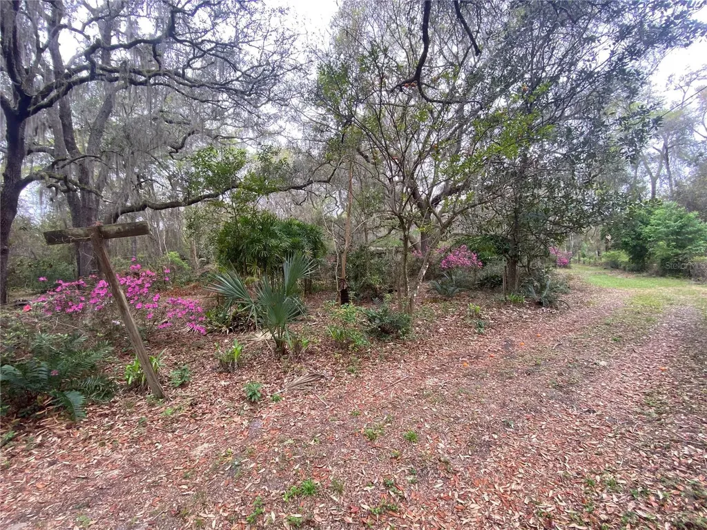 119 Twin Lakes Road Hawthorne FL 32640