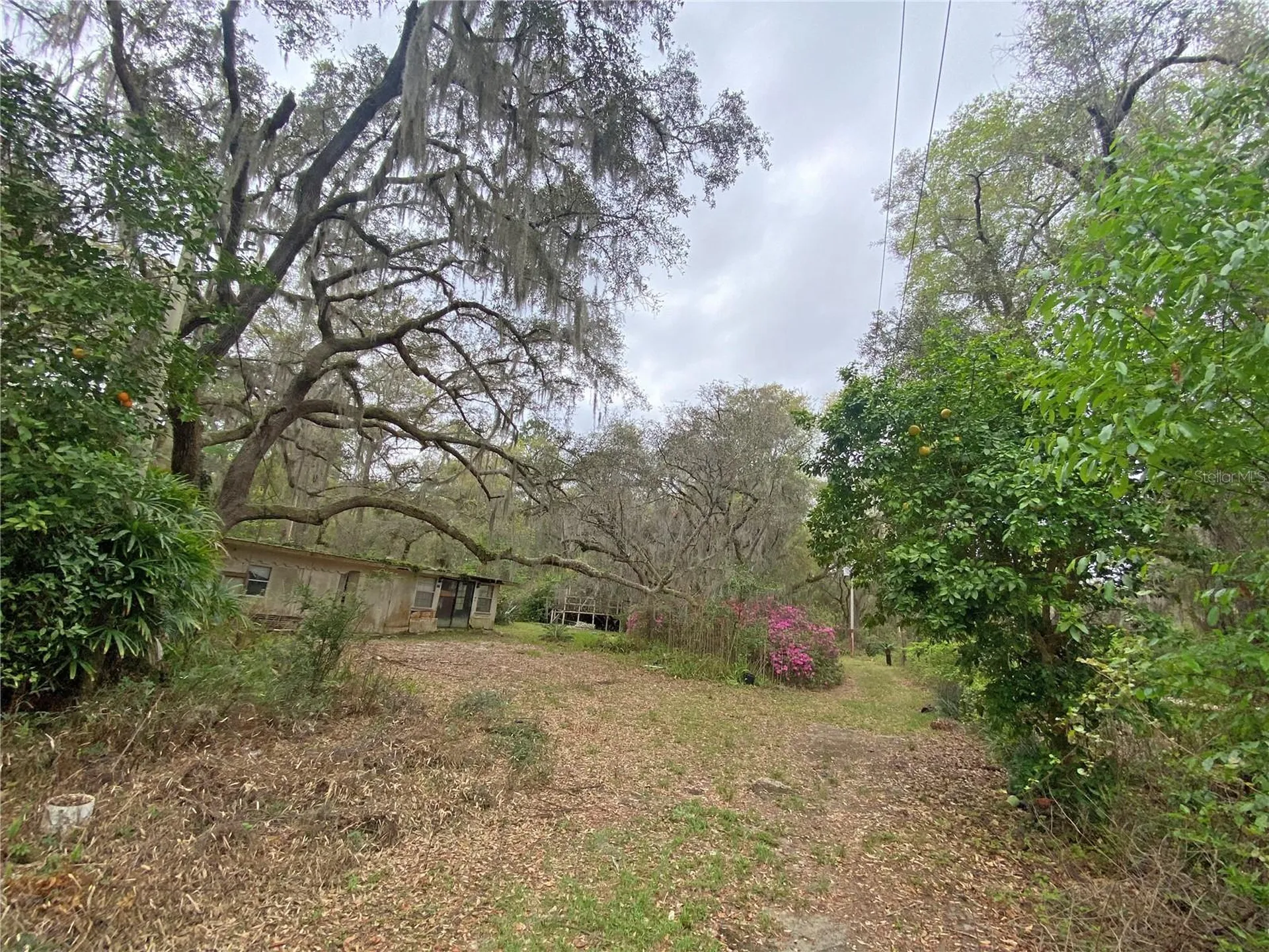 119 Twin Lakes Road Hawthorne FL 32640