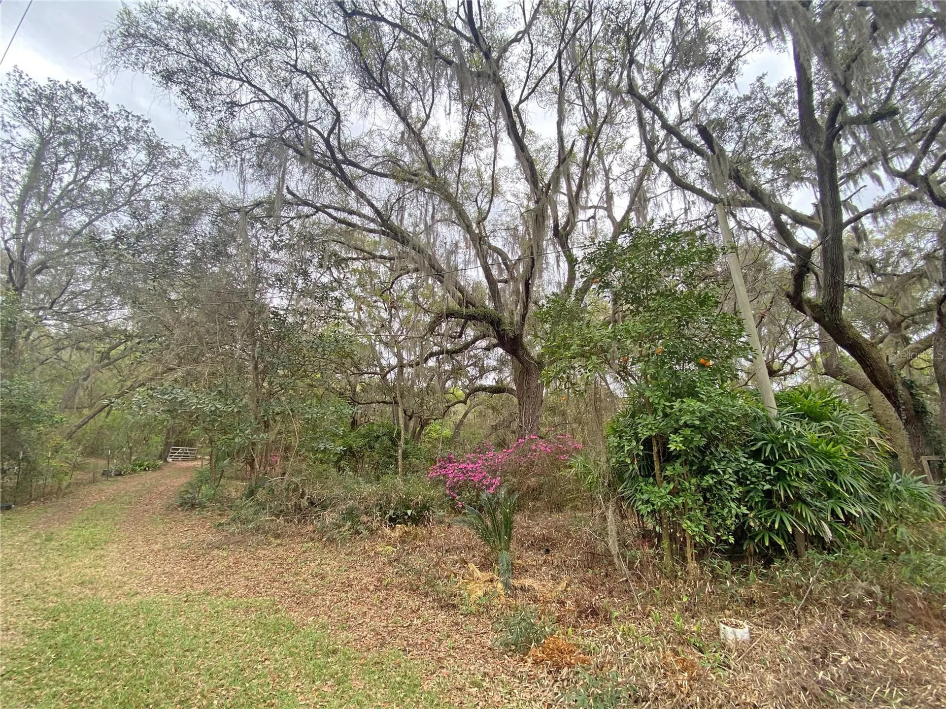 119 Twin Lakes Road Hawthorne FL 32640
