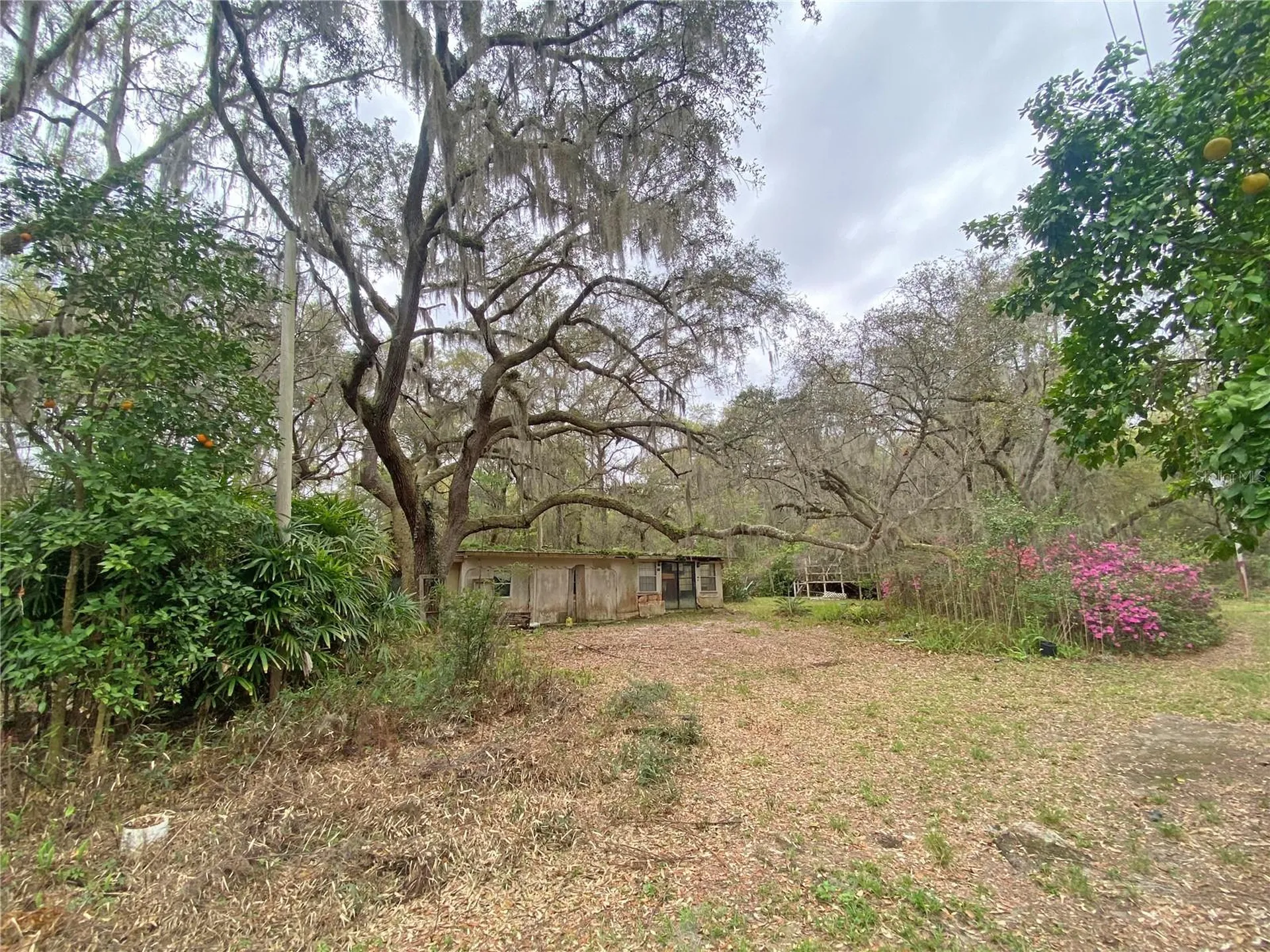 119 Twin Lakes Road Hawthorne FL 32640