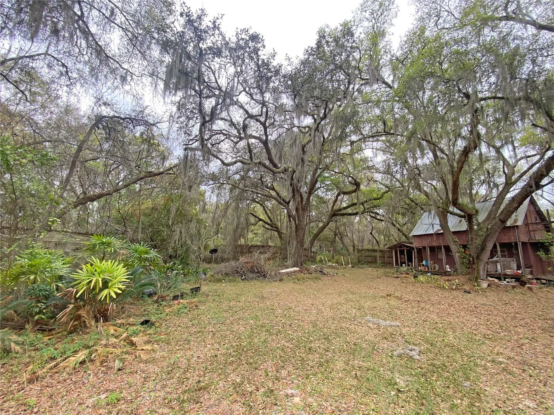119 Twin Lakes Road Hawthorne FL 32640