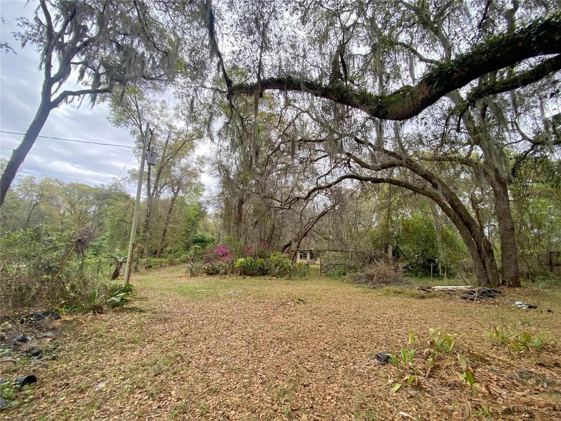 119 Twin Lakes Road Hawthorne FL 32640