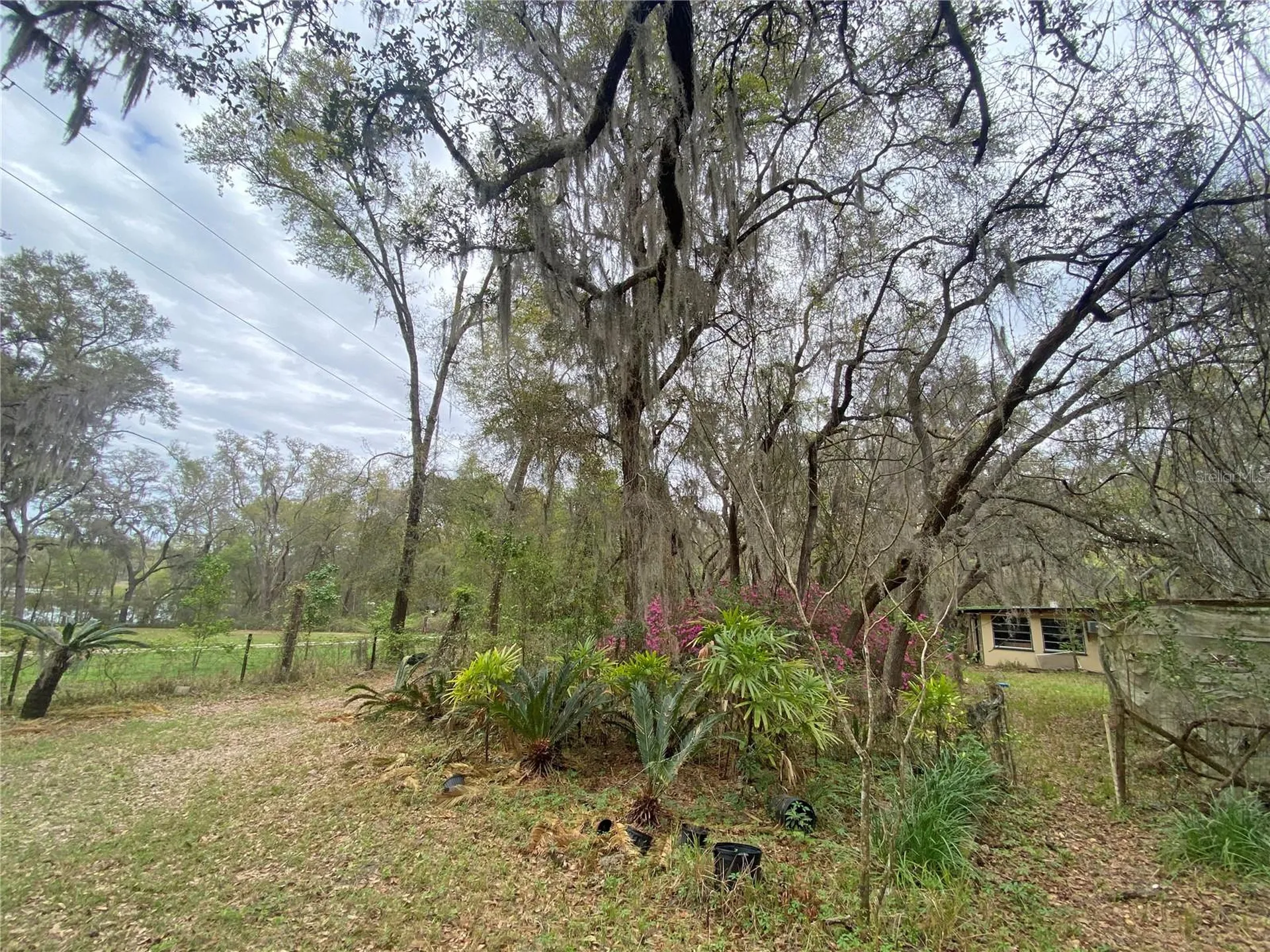 119 Twin Lakes Road Hawthorne FL 32640